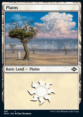 Plains