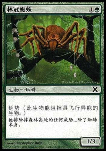 Canopy Spider