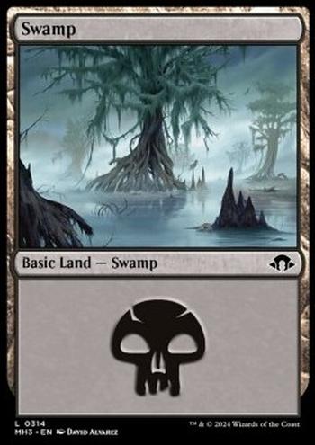 Swamp