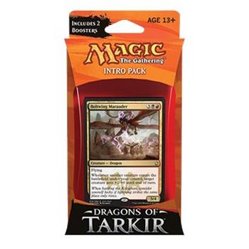 Dragons of Tarkir: Intro Pack (BR)