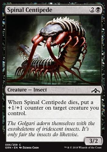 Spinal Centipede