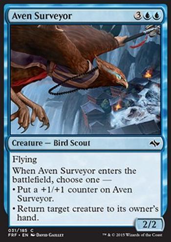 Aven Surveyor