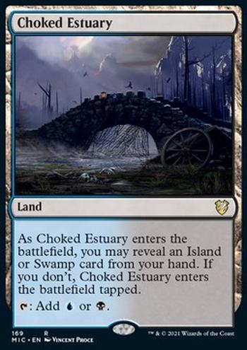 Choked Estuary