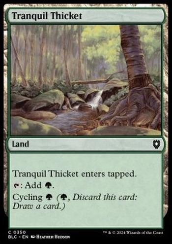 Tranquil Thicket