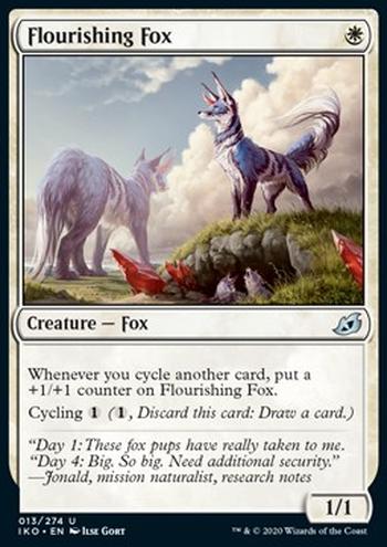 Flourishing Fox