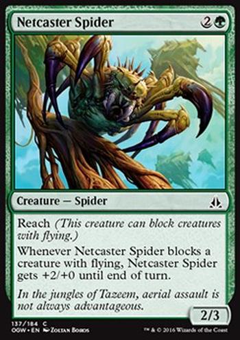 Netcaster Spider